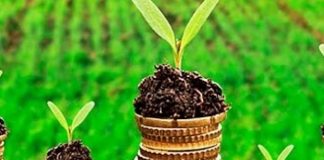 Volume de contratação do crédito agrícola é o maior em cinco anos