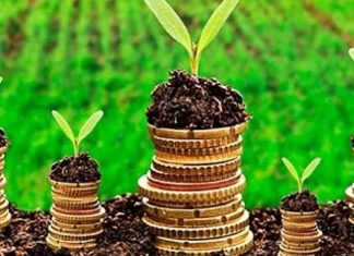 Volume de contratação do crédito agrícola é o maior em cinco anos