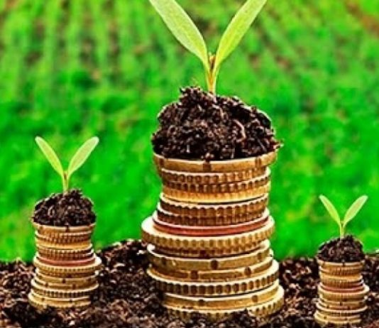 Volume de contratação do crédito agrícola é o maior em cinco anos