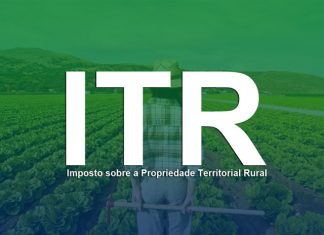 ITR 2024: saiba como emitir e qual o prazo de entrega
