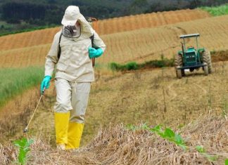 Crea encaminha sugestões para atualização da Lei de Agrotóxicos