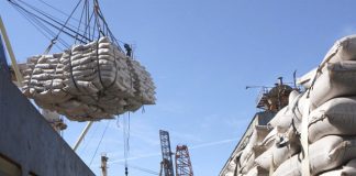 Exportações do agro devem atingir US$ 100 bilhões