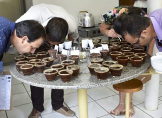 Cooabriel divulga os 20 Classificados do XV Concurso Conilon de Excelência Cooabriel – safra 2018