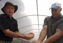 Itália se torna novo mercado dos cafés especiais da Coopeavi