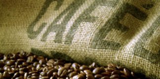 Cotações de café arábica e robusta aumentam nos últimos dias