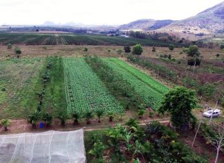 Incaper e Prefeitura realizam encontro sobre Extensão Rural em Nova Venécia