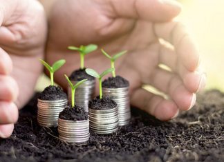 Conab mostra cenário positivo para inflação e atividade agrícola