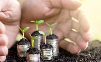 Senado aprova MP que prorroga prazo de adesão ao Refis do Funrural para 31 de dezembro