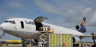 Exportações de mamão se elevam em outubro