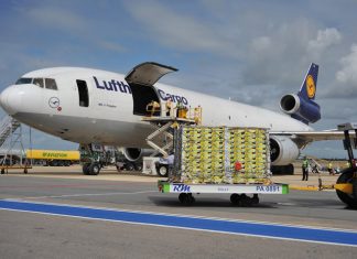 Exportações de mamão se elevam em outubro