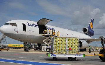 Exportações de mamão se elevam em outubro