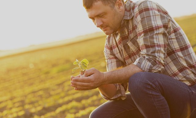 Vitória recebe VIII encontro de Empreendedores do Agronegócio