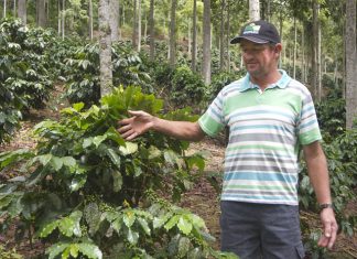 Histórias dos cafés das montanhas a partir desta sexta-feira (30) na internet