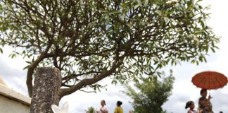 Sempre chove no Dia de Finados?