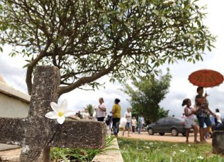 Sempre chove no Dia de Finados?
