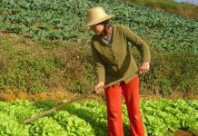 Participação de mulheres no agro cresce; 68% se mostram satisfeitas com o emprego