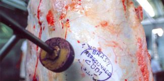 Rússia retoma compras de carne suína e bovina do Brasil