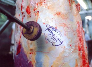 Rússia retoma compras de carne suína e bovina do Brasil