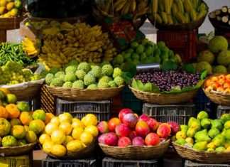 Regulamento para produção de orgânicos no Brasil é atualizado