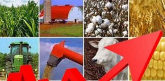 Produtividade da agropecuária cresce 3,36% ao ano