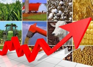 Valor da Produção Agropecuária de 2019 deverá superar o deste ano