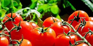 Biovalens lança novos produtos para o mercado de biológicos