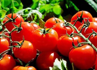 Biovalens lança novos produtos para o mercado de biológicos