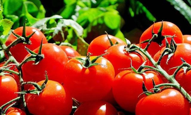 Biovalens lança novos produtos para o mercado de biológicos