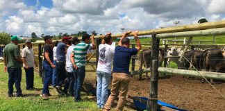 Feira de Touros em Barra de São Francisco é destaque nacional