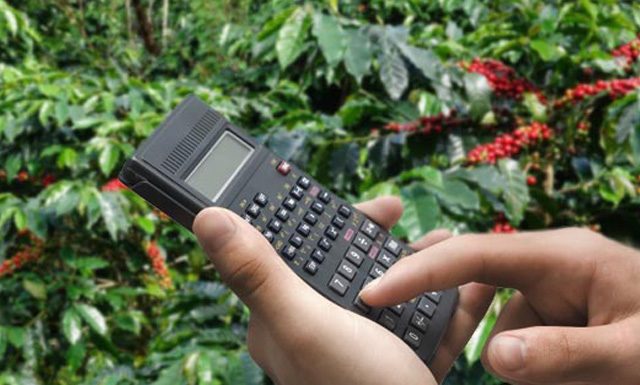 Preço do café apresenta comportamento atípico e segue em alta no mercado