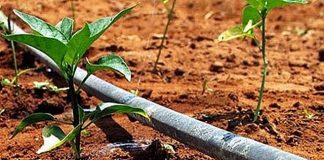 CNA defende revogação de decreto que reduz descontos sobre energia no meio rural