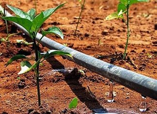 CNA defende revogação de decreto que reduz descontos sobre energia no meio rural