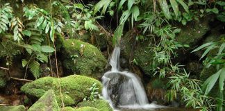 Fundágua disponibiliza R$ 10 milhões para projetos no Espírito Santo