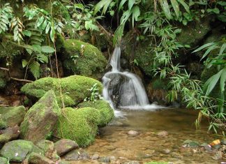 Usuários de águas da União têm até 31 de janeiro para declararem seus usos