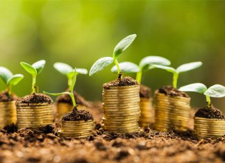 Valor da Produção fecha 2018 em R$ 569,8 bilhões