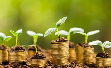 Valor da Produção fecha 2018 em R$ 569,8 bilhões