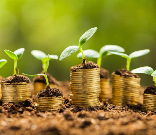 Valor da Produção fecha 2018 em R$ 569,8 bilhões