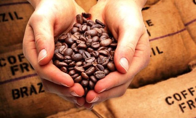 Mercado do café arábica avança de olho no dólar