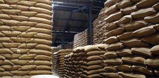 Espírito Santo deve produzir 10,37 milhões de sacas de conilon