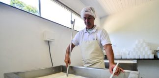 Vistorias a agroindústrias com registro provisório já estão programadas pelo Idaf