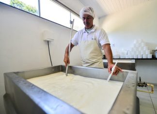 Vistorias a agroindústrias com registro provisório já estão programadas pelo Idaf