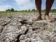 El Niño deve atingir pico em fevereiro