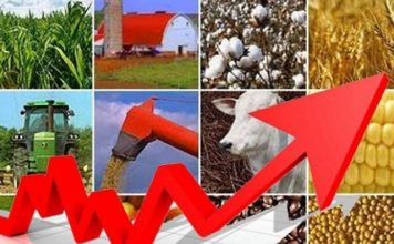 PIB agropecuário do Brasil deverá crescer 0,5% em 2019