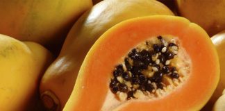 Exportações de mamão recuam em junho