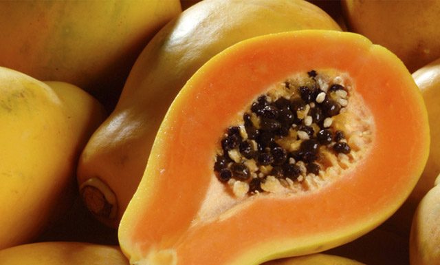 Preço do mamão havaí dobra no Norte do ES e Sul da BA na última semana