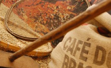 Área explorada com produção dos Cafés do Brasil ocupa 1,84 milhão de hectares em 2019
