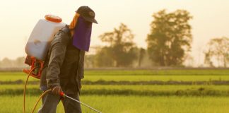Variações ambientais diminuem eficácia de pesticidas