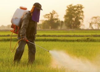 Variações ambientais diminuem eficácia de pesticidas
