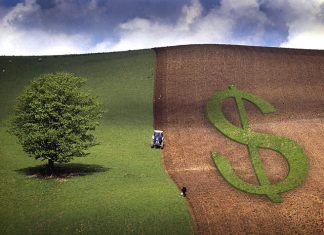 Aplicação do crédito rural chega a R$ 270 bilhões em sete meses do Plano Safra 2023/24