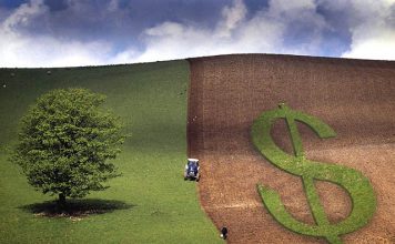 Governo divulga as regras do Programa de Seguro Rural para os próximos três anos